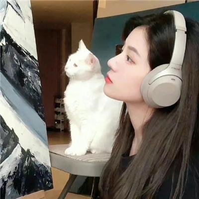 飞哥与小佛第一季