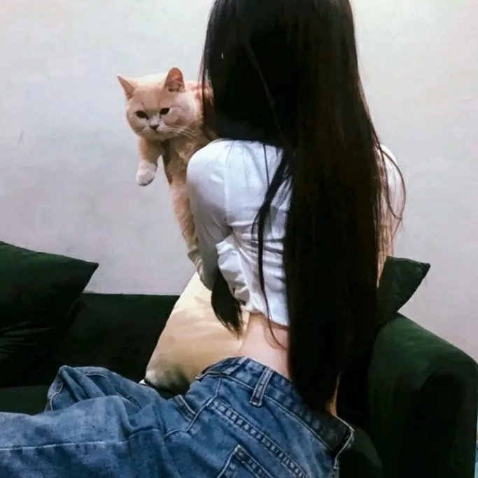 机器肉鸡第一季